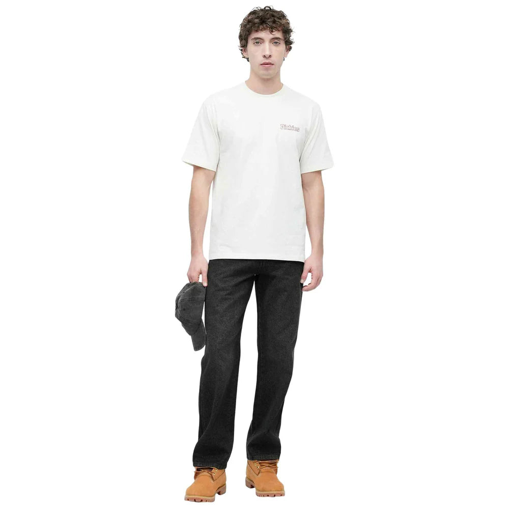DICKIES Fairlawn SS TEE Egret: hvid T-shirt til mænd