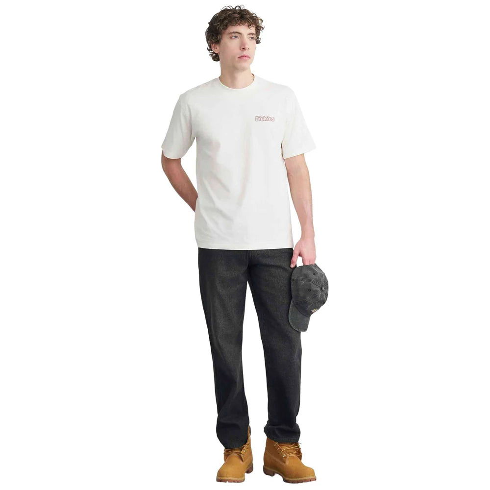 DICKIES Fairlawn SS TEE Egret: hvid T-shirt til mænd