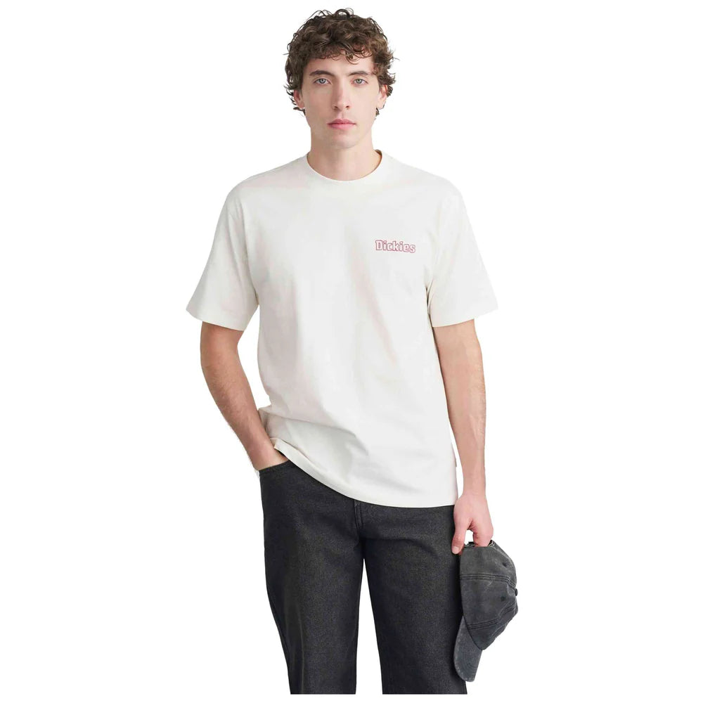 DICKIES Fairlawn SS TEE Egret: hvid T-shirt til mænd