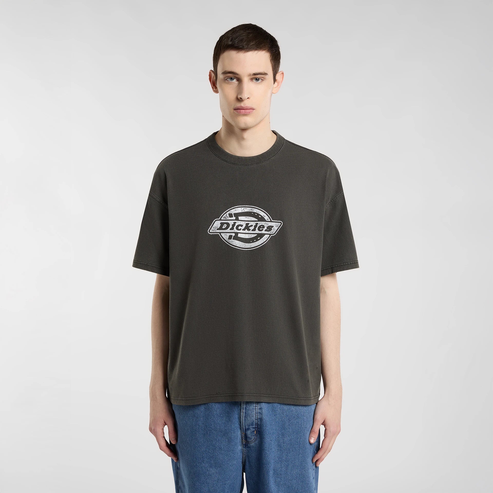 DICKIES Plainville SS TEE Black: black T-shirt for men