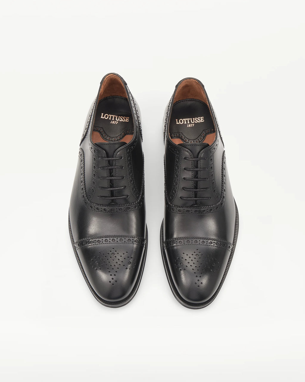 LOTTUSSE Oxford Puntera Recta Lenox PIEL Negro: zwart schoenen voor heren