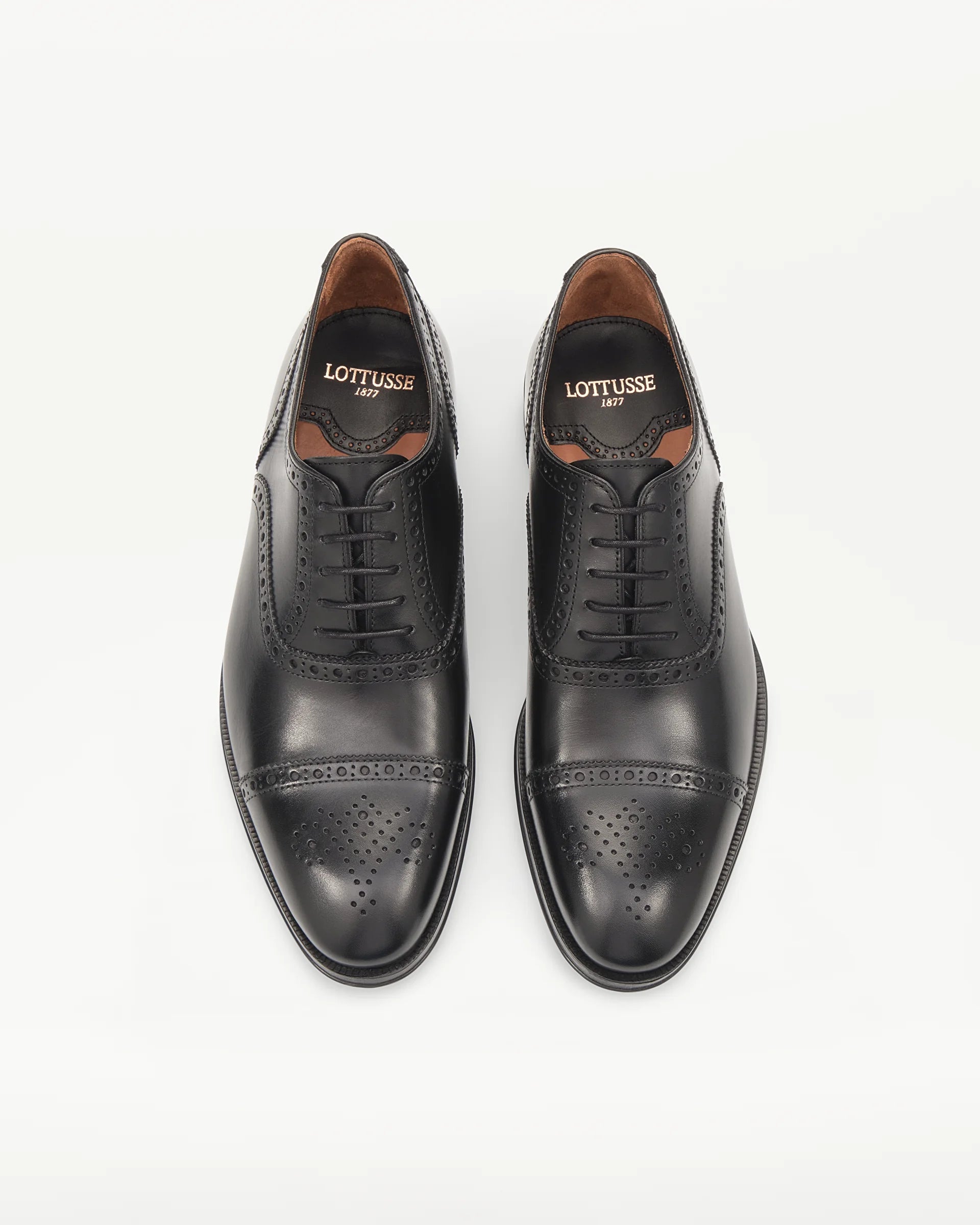 LOTTUSSE Oxford Puntera Recta Lenox PIEL Negro: zwart schoenen voor heren