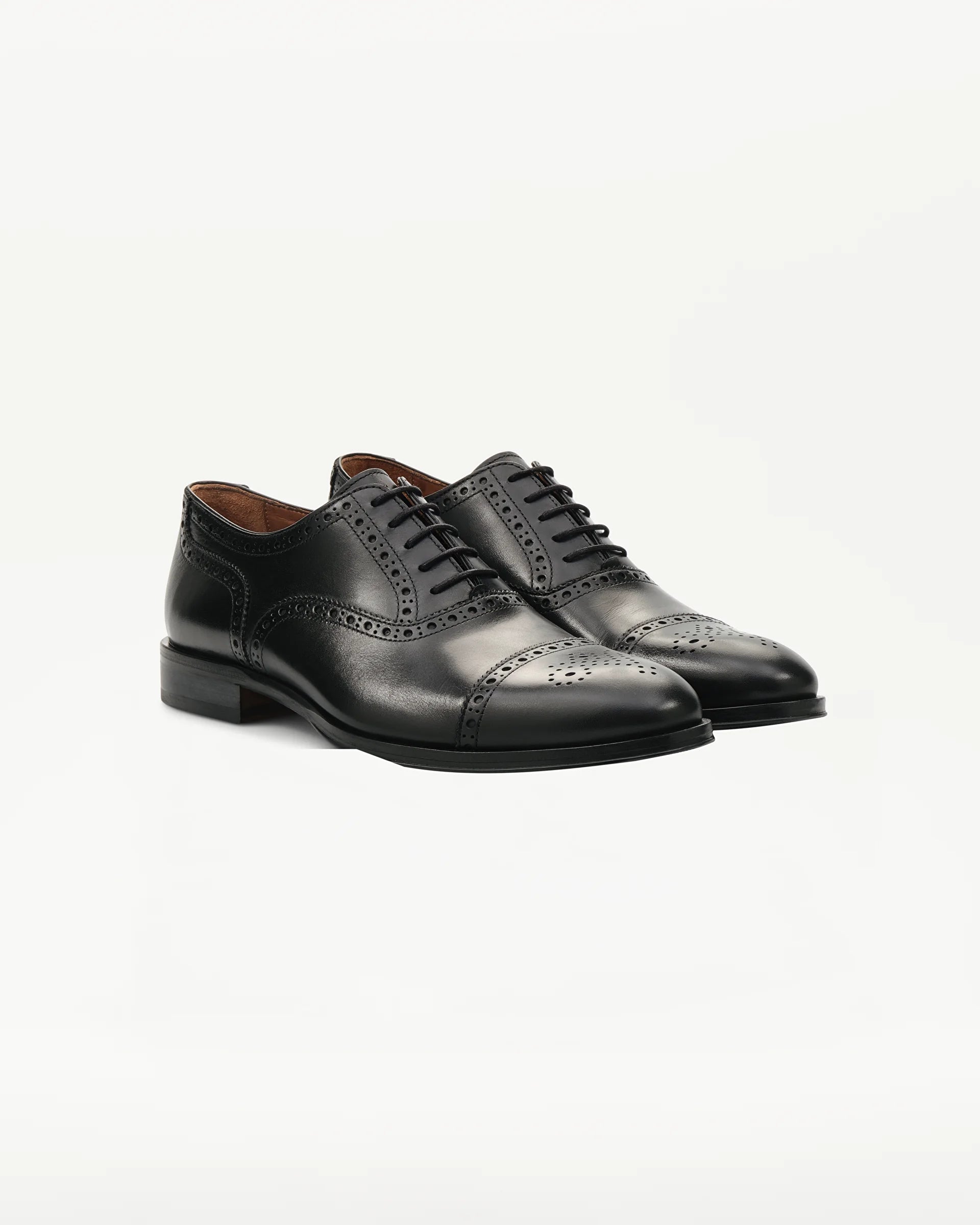 LOTTUSSE Oxford Puntera Recta Lenox PIEL Negro: noir chaussures pour homme