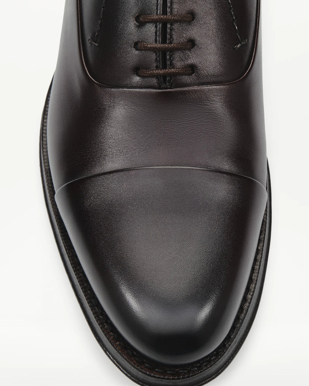 LOTTUSSE Oxford Puntera Recta Premium PIEL MOCA: bruin schoenen voor heren
