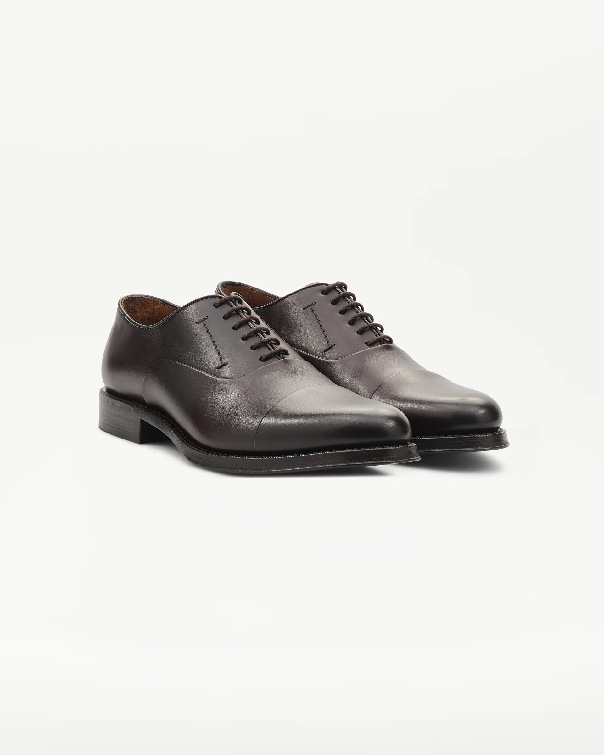 LOTTUSSE Oxford Puntera Recta Premium PIEL MOCA: brown shoes for men