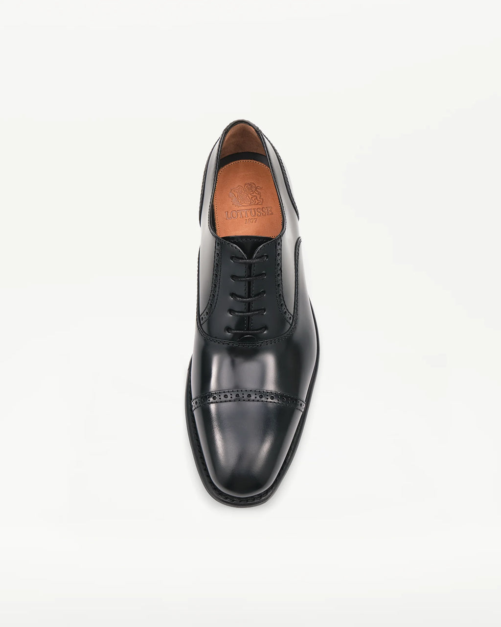 LOTTUSSE Oxford Preston de PIEL Negro: ブラック シューズ メンズ