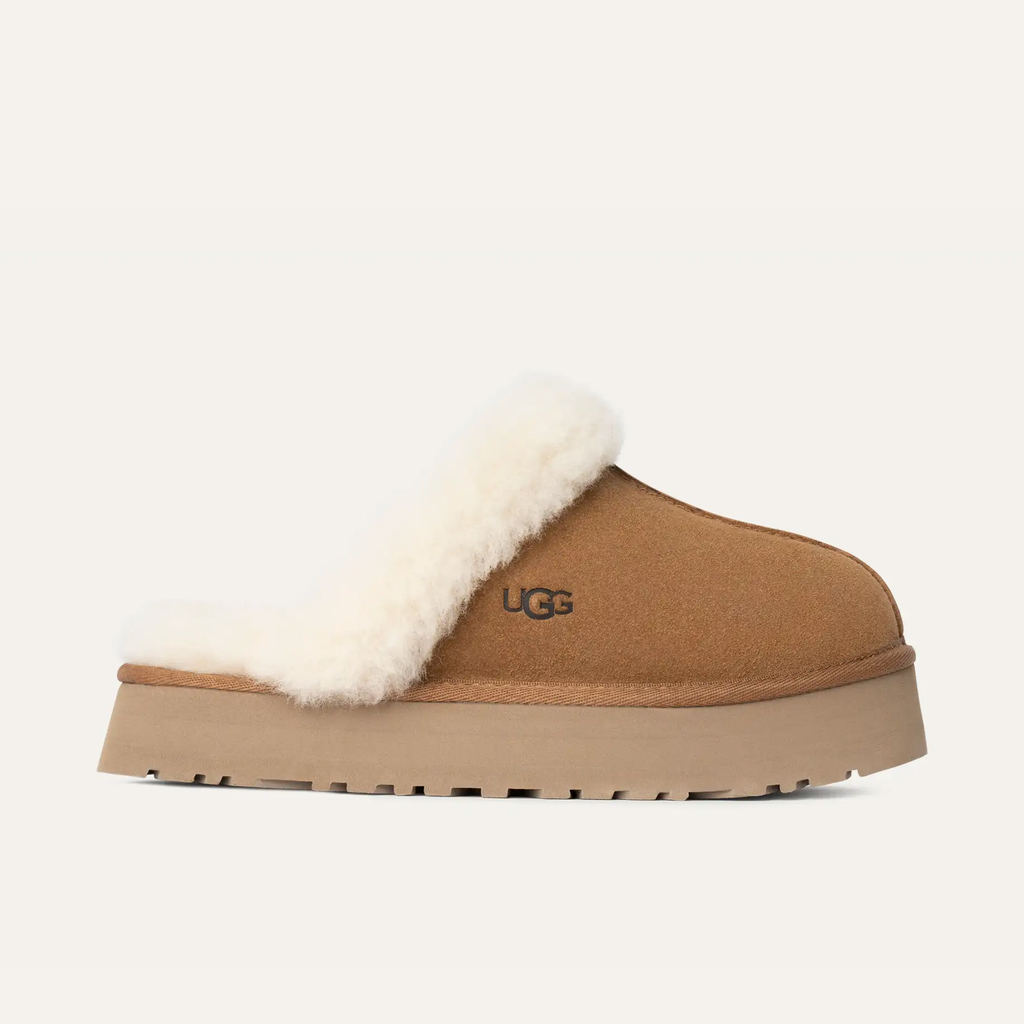 UGG W Disquette Chestnut: 棕色 木屐 女士