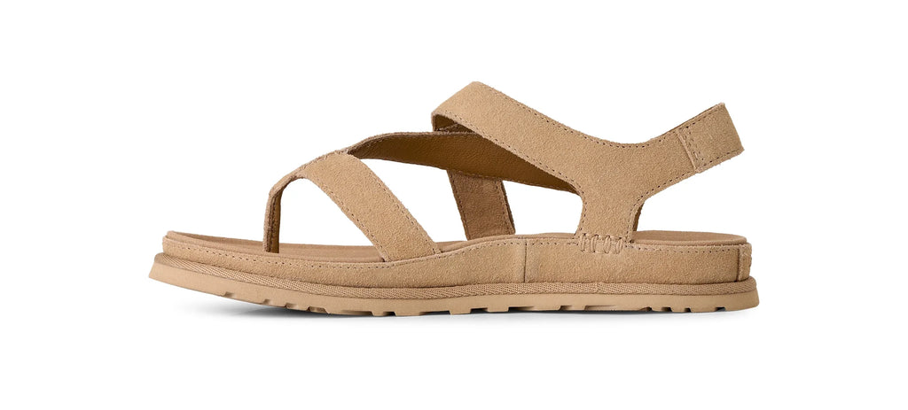 UGG W Goldengaze TOE POST SAND: marró sandàlies per a dona