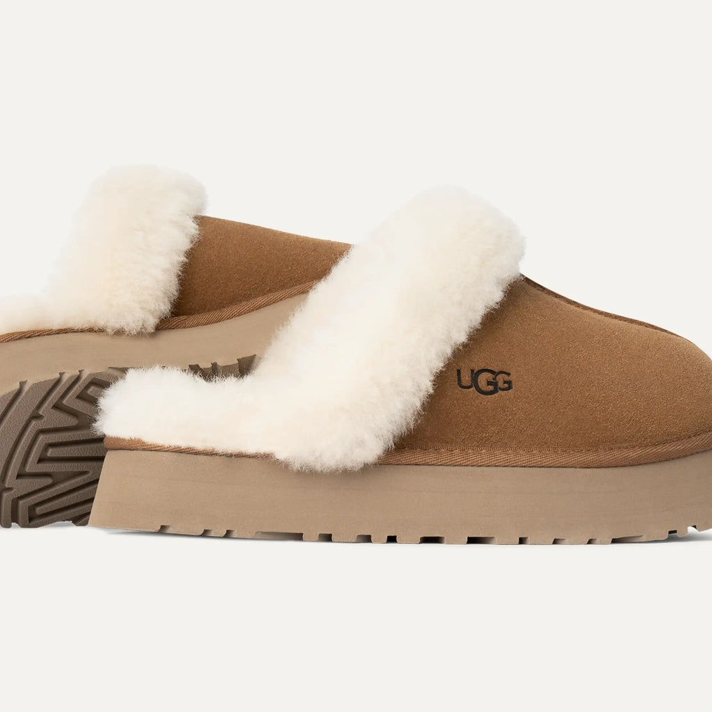 UGG W Disquette Chestnut: 棕色 木屐 女士