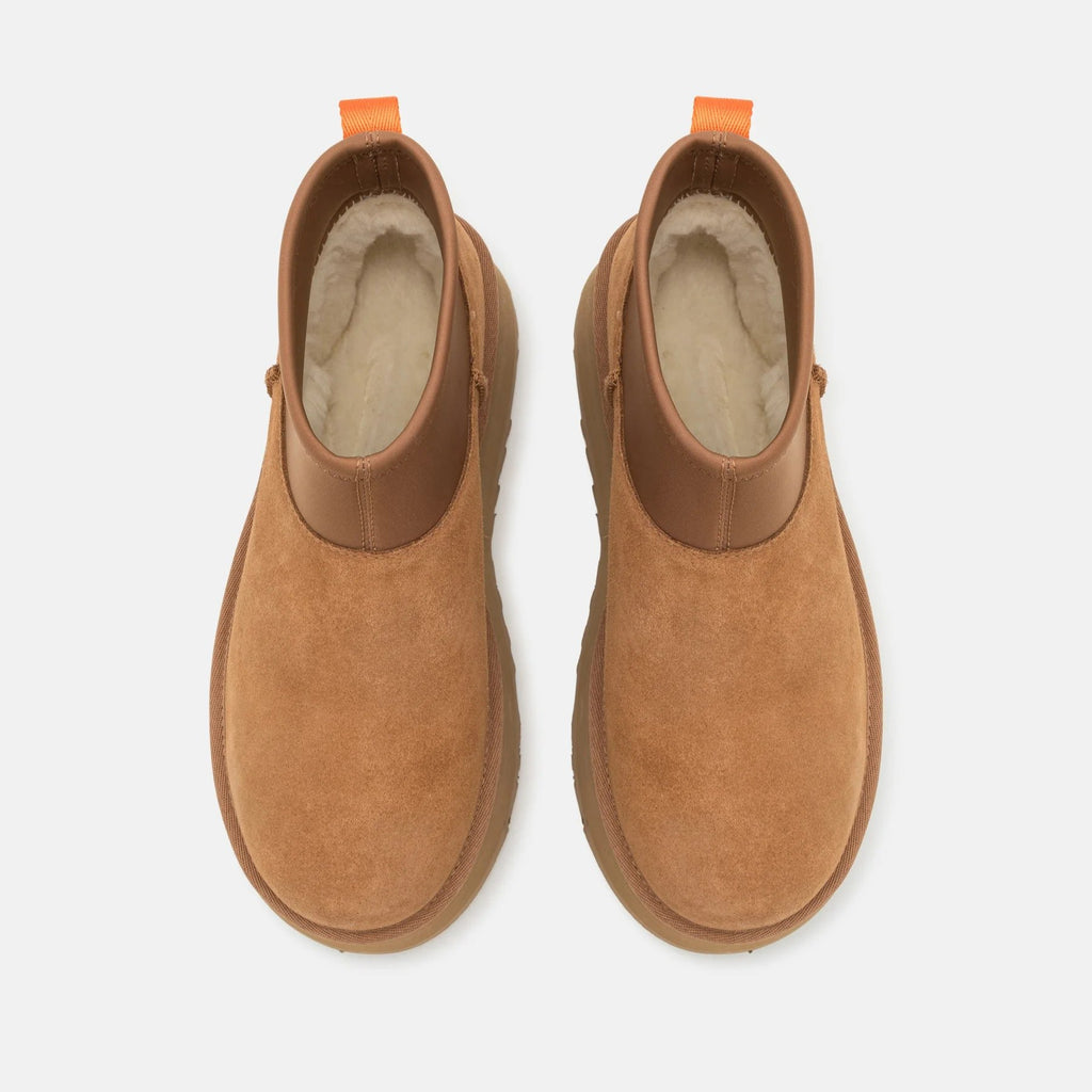 UGG Classic MINI Dipper Chestnut: marró botes per a dona
