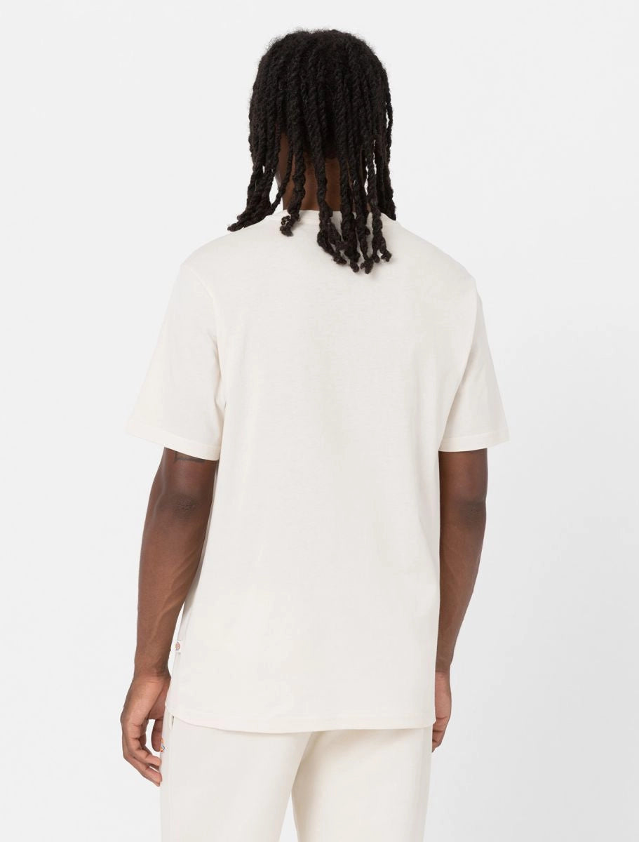 DICKIES Mapleton SS TEE Whitecap GRAY: beige T-shirt for men