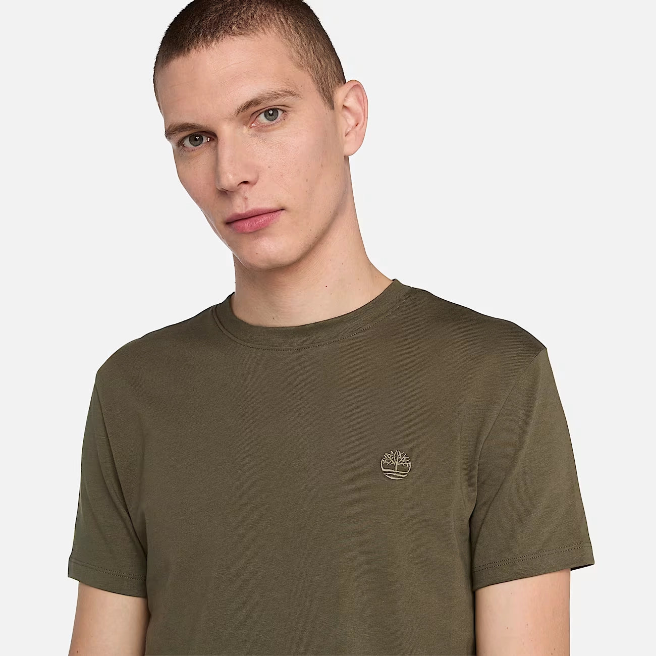 TIMBERLAND Dunstan River Short Sleeve Camiseta Verde Oscuro: caqui T-shirt voor heren